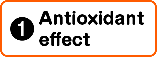 1.Antioxidant effect