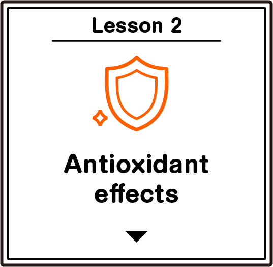 Lesson2 Antioxidant effects