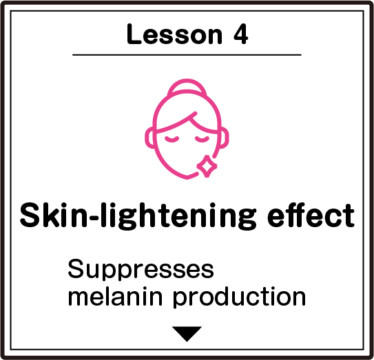 Lesson4 Skin-lightening effect. Suppresses melanin production